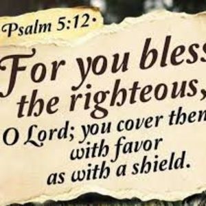 Meet your Posher, Lee